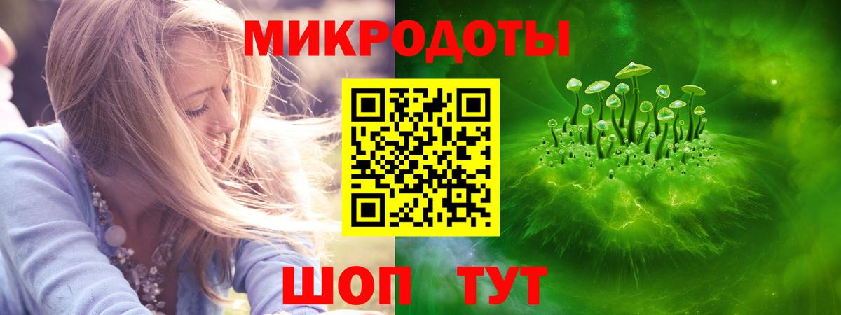 Шали  Псилоцибиновые грибы мухоморы  Вход с VPN  Псилоцибиновые грибы ЛСД 
